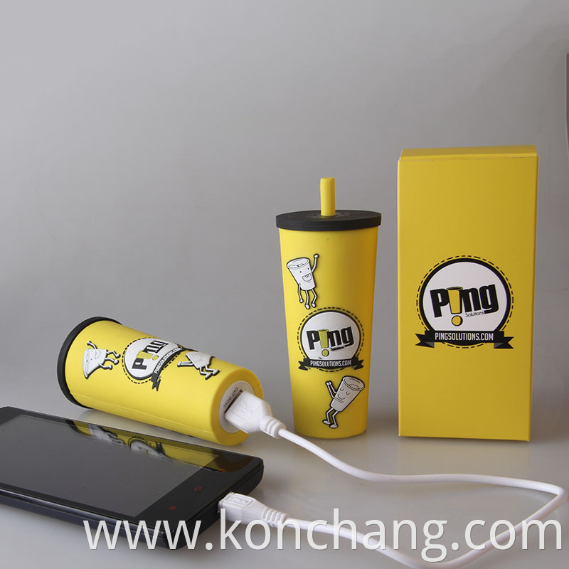 Power Bank Charger